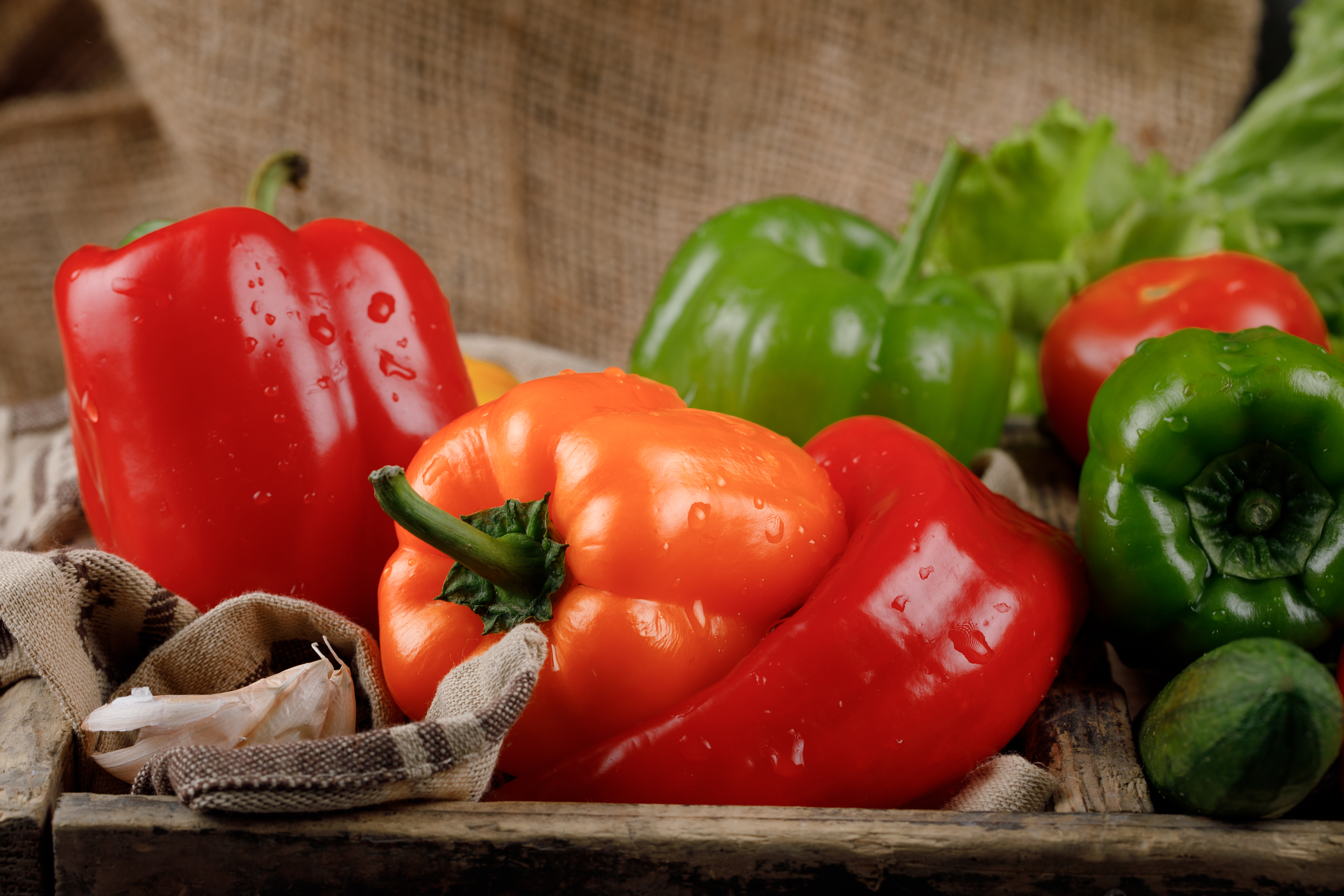 Green Guard Bell Pepper Farm